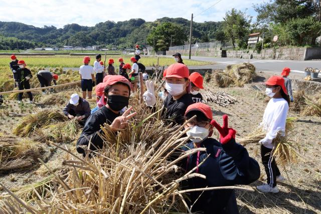 皆で協力する大切さを学んだ水之上小学校の稲刈り