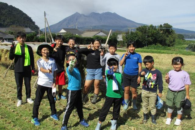 親子で稲刈り・はざかけ体験！松ケ崎小学校