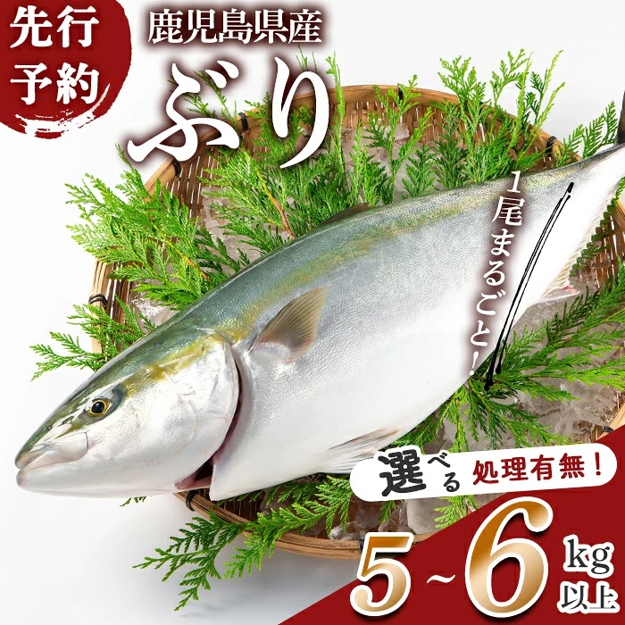 海産物7