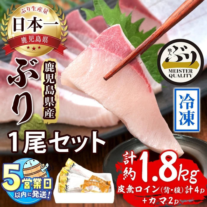 海産物8