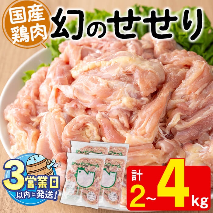肉類6