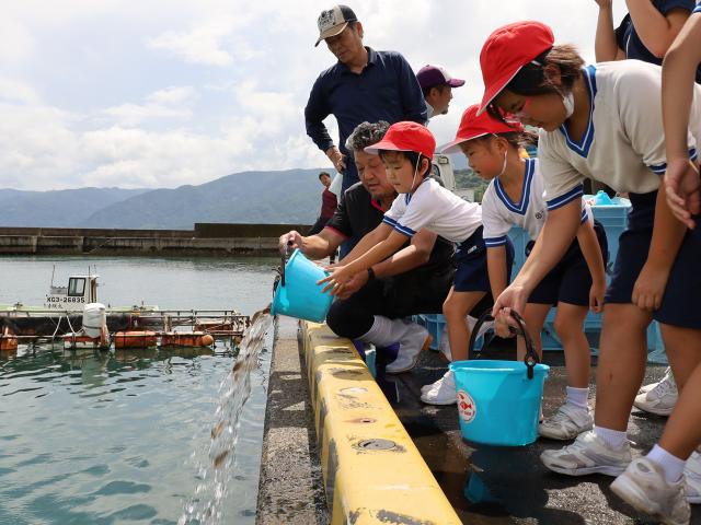 大きくなーれ！児童たちがマダイを放流