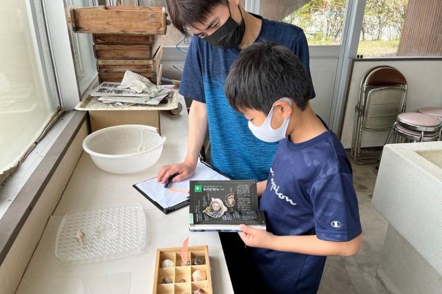 夏休みの自由研究親子標本づくり講習会