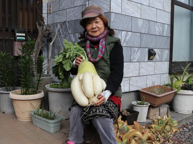 まるでタコのようなおもしろ大根！