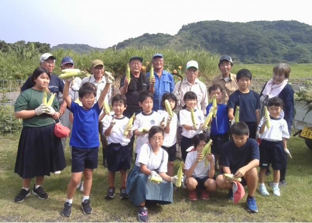 児童と地域の方々がとうもろこしを収穫
