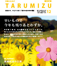 平成28年広報たるみず12月号