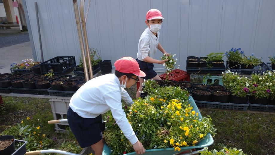 2024年4月10日_iinnkakatudou1