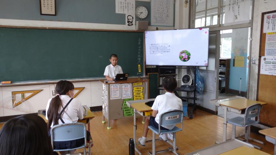 2024年5月29日_56nenntakoshoukai2