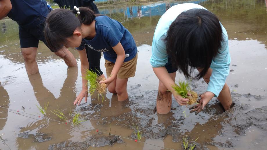 2024年6月8日_taue1