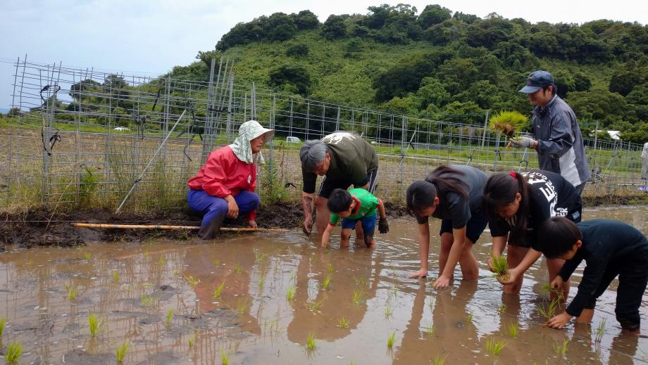 2024年6月8日_taue3