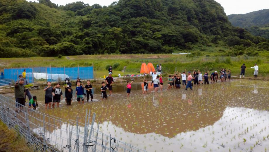 2024年6月8日_taue4