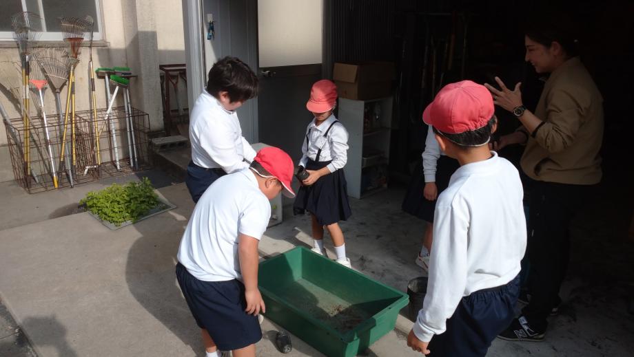 2025年4月18日_asanoboranntelia1