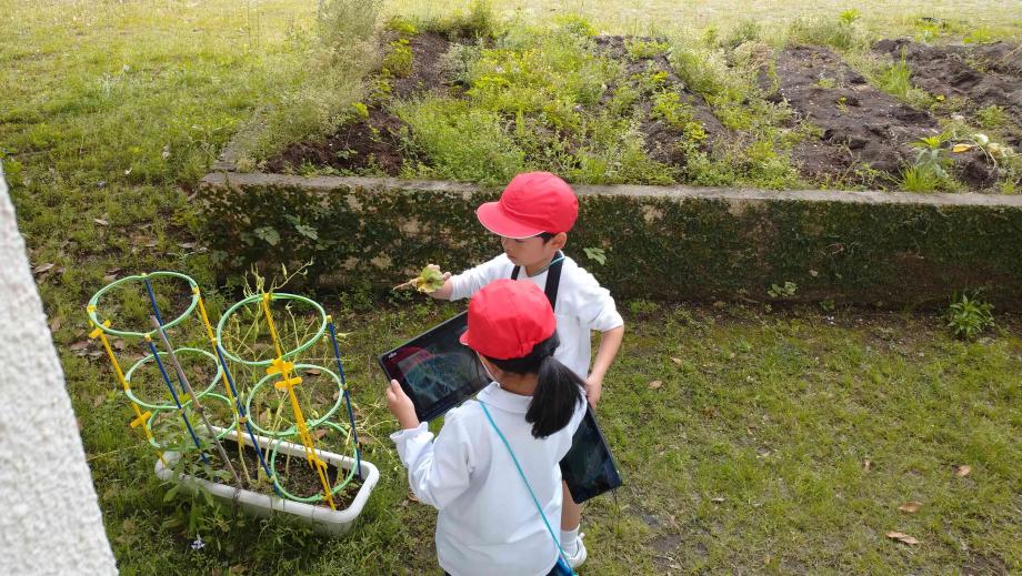 2025年4月25日_12nennseikatuka1