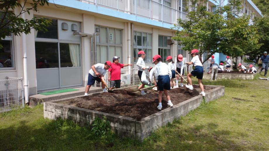 2025年5月8日_midorikatudou2