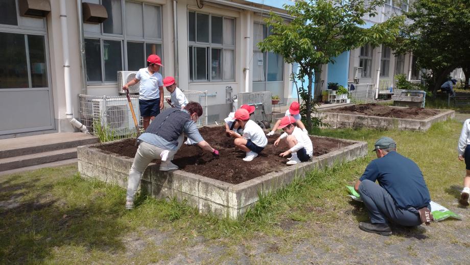 2025年5月8日_midorikatudou1