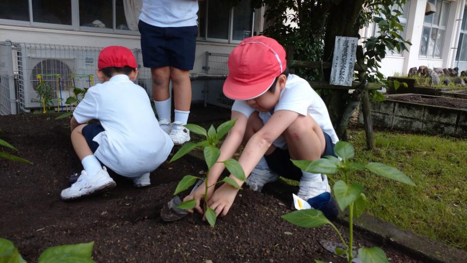 2025年5月22日_seikatuka1