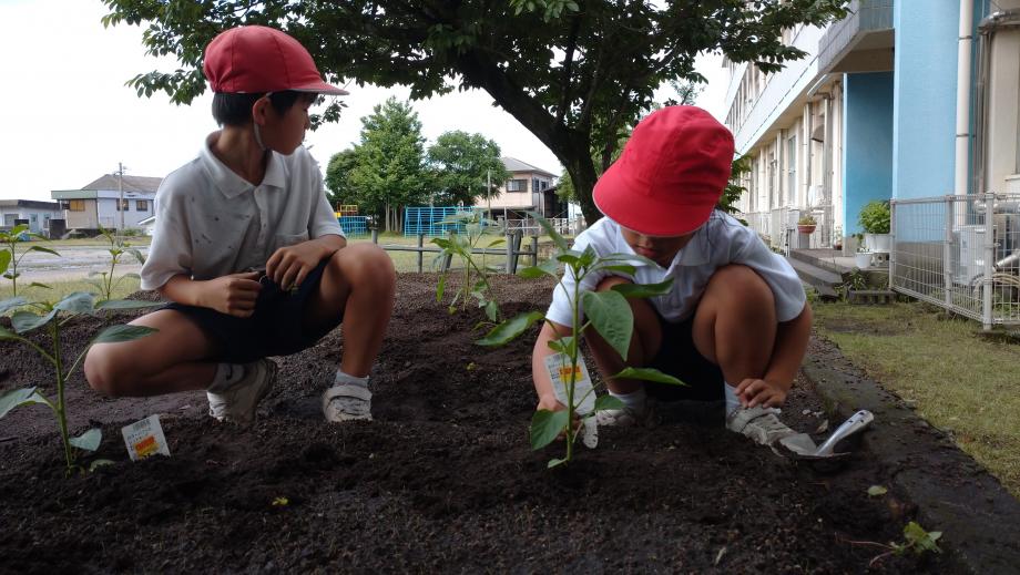2025年5月22日_seikatuka2