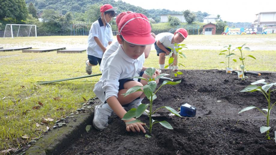 2025年5月22日_seikatuka3