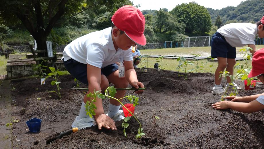 2025年5月22日_seikatuka4