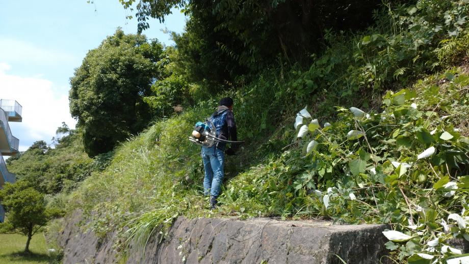 2025年5月27日_housisagyou2