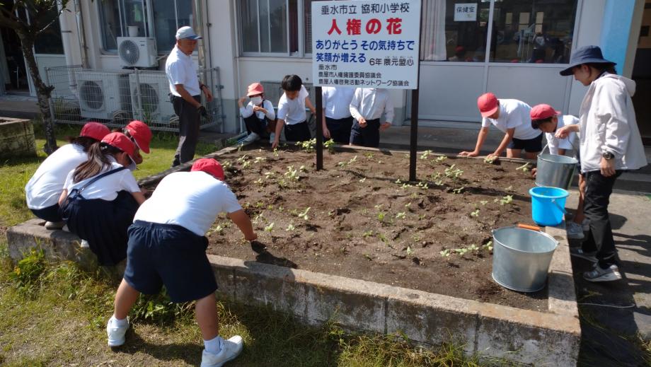 2025年6月4日_kannbannsetti3