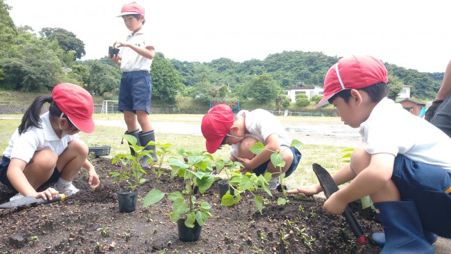 2025年6月12日_midorikatudou1