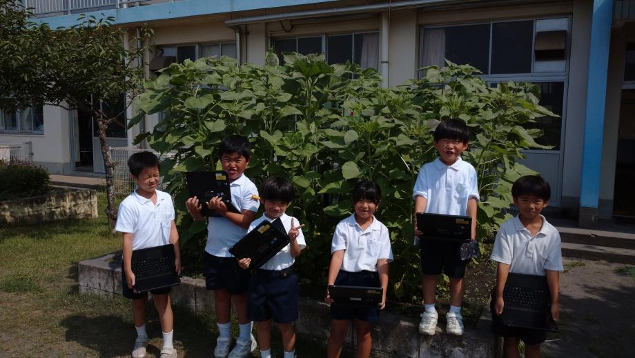 2025年7月4日_teigakunenntohimawari1