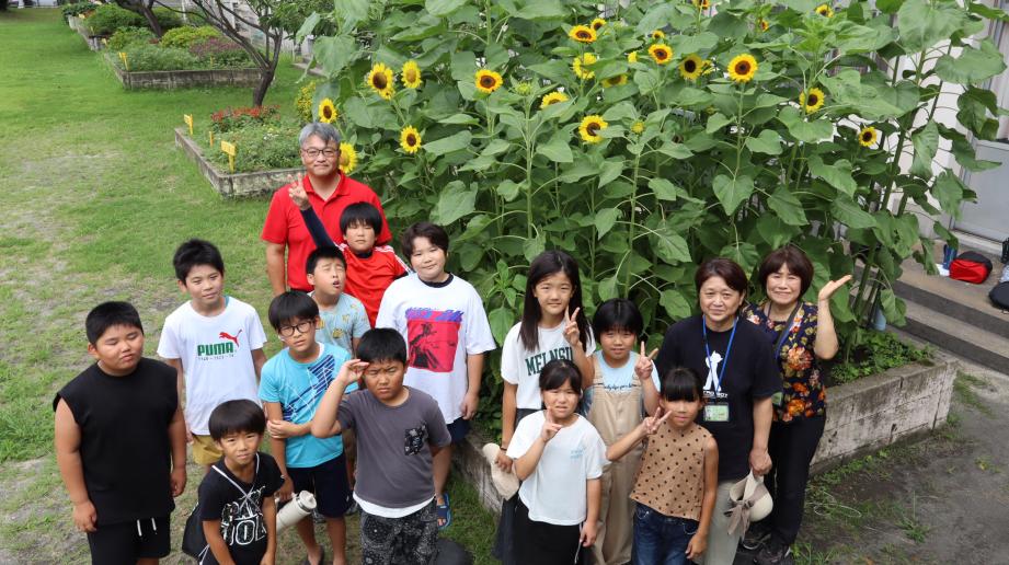 2025年7月22日_himawari2