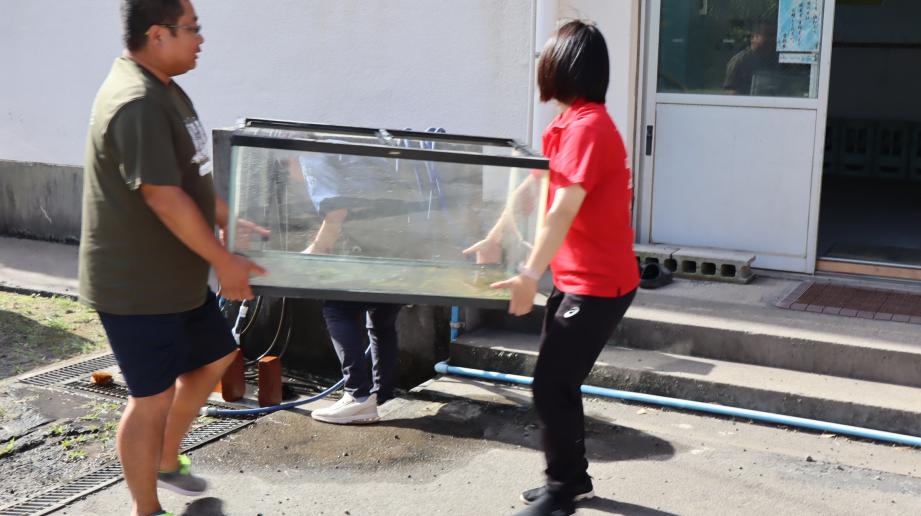 2025年7月31日_kamenosewa2