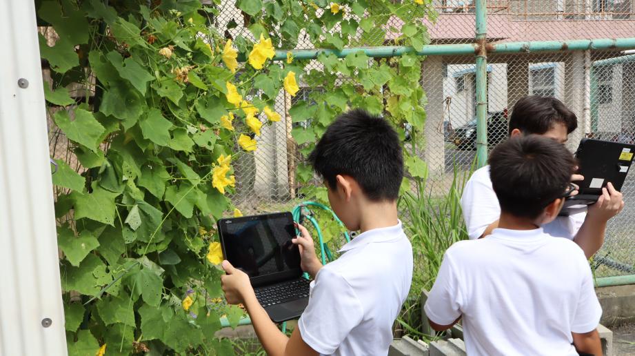 2025年9月5日_5nennrika2