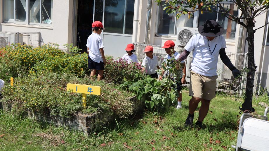 2025年9月9日_midorikatudou1