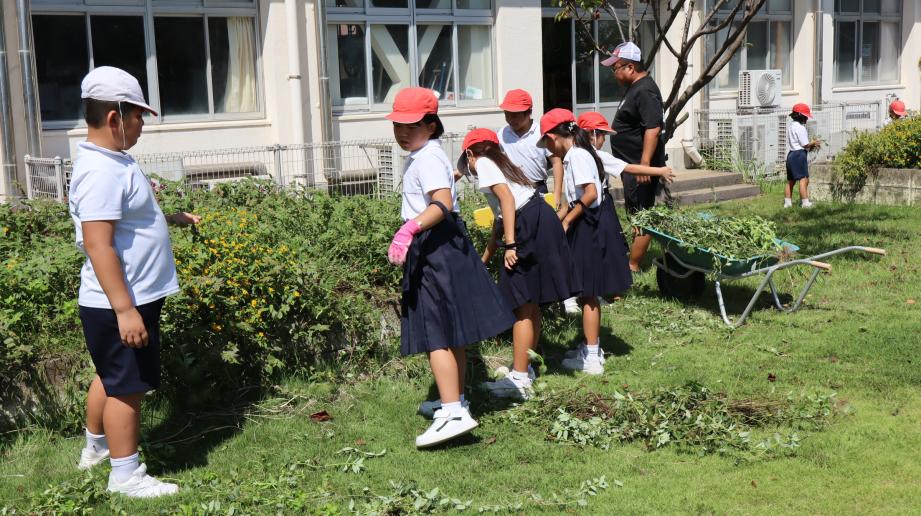 2025年9月9日_midorikatudou2