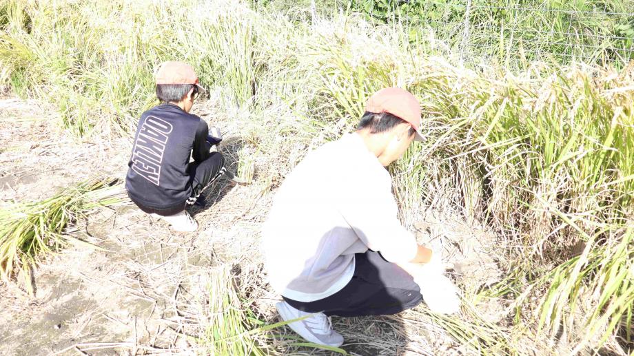 2025年11月5日_inekari2