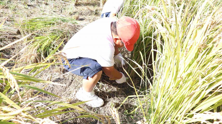 2025年11月6日_inekari3