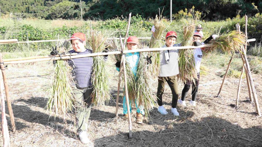 2025年11月6日_inekari4