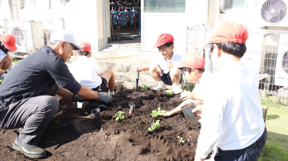 2025年11月14日_midorikatudou1