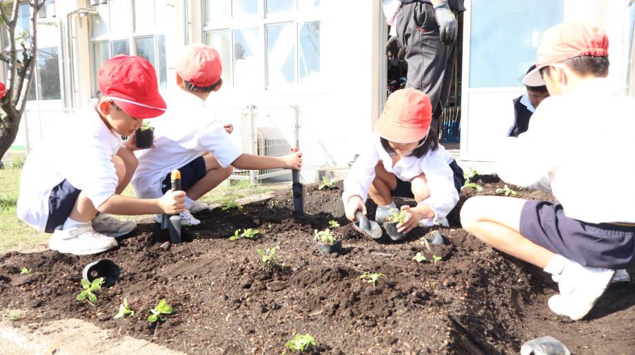 2025年11月14日_midorikatudou2