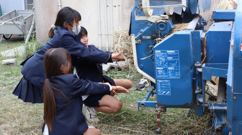 2025年11月19日_dakkoku2