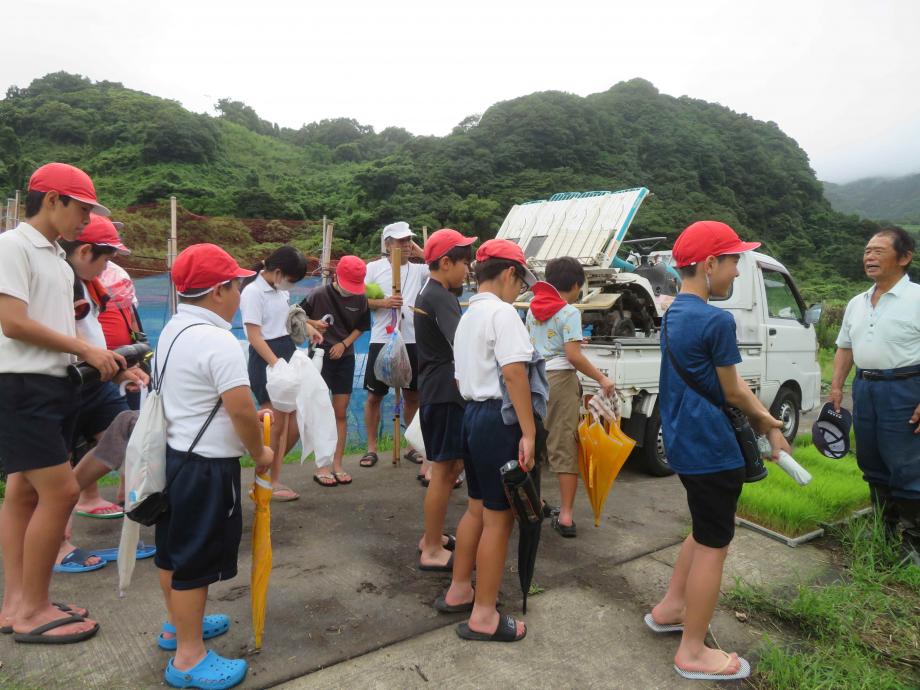 2025年6月14日_taue1