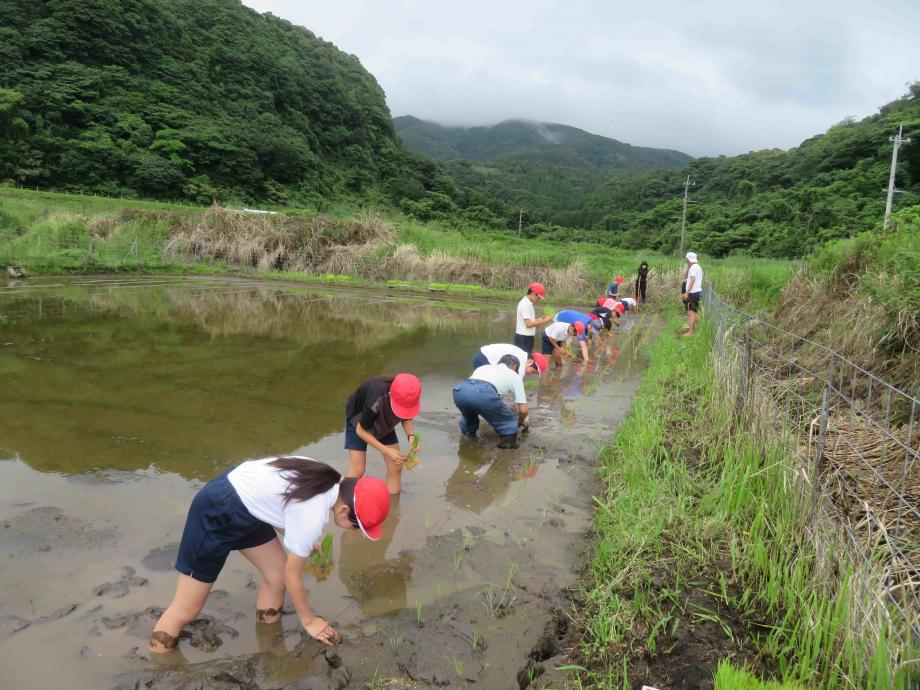 2025年6月14日_taue2