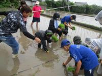 田植えの様子1