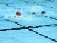 クロール平泳ぎ