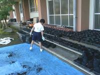 グリーンタイム15