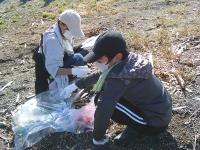 錦江湾クリーンアップ作戦2