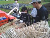 脱穀体験2
