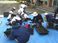 グリーンタイム10