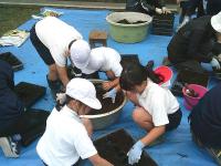 グリーンタイム11