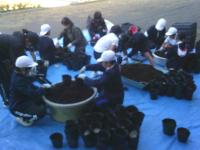 グリーンタイム13