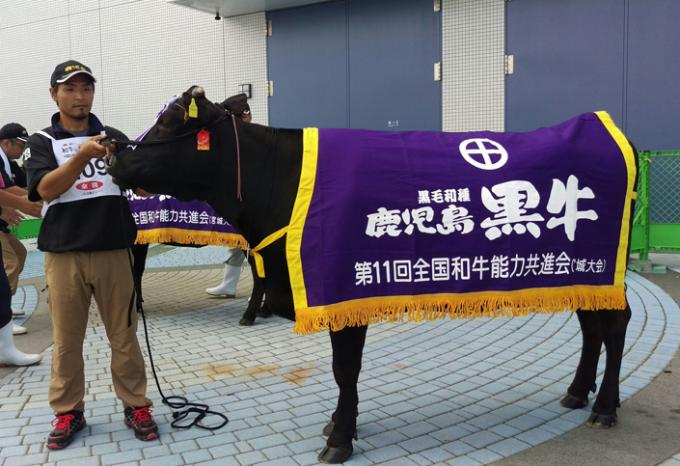 鹿児島黒牛日本一笠木さん