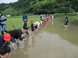 田植え1